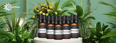 Qualità Macchina elettrica per diffusore di profumo fabbrica