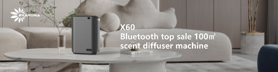 Qualità Macchina elettrica per diffusore di profumo fabbrica