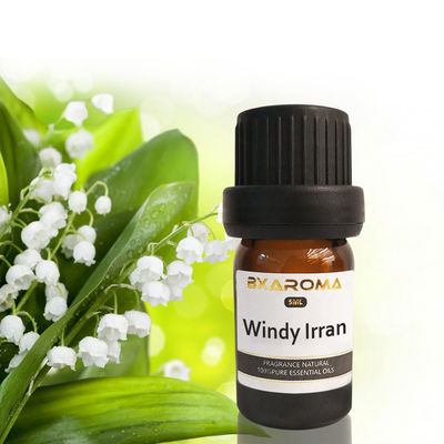 Buon prezzo Fragranza sostenibile 500ml della bevanda rinfrescante di aria dell'automobile di Ilan Aroma Diffuser Essential Oil in linea