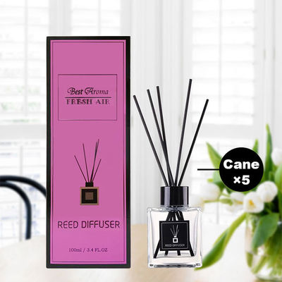 Buon prezzo Etichetta privata glassata sostenibile di Reed Diffuser 100ml dell'aroma del ODM Geo in linea
